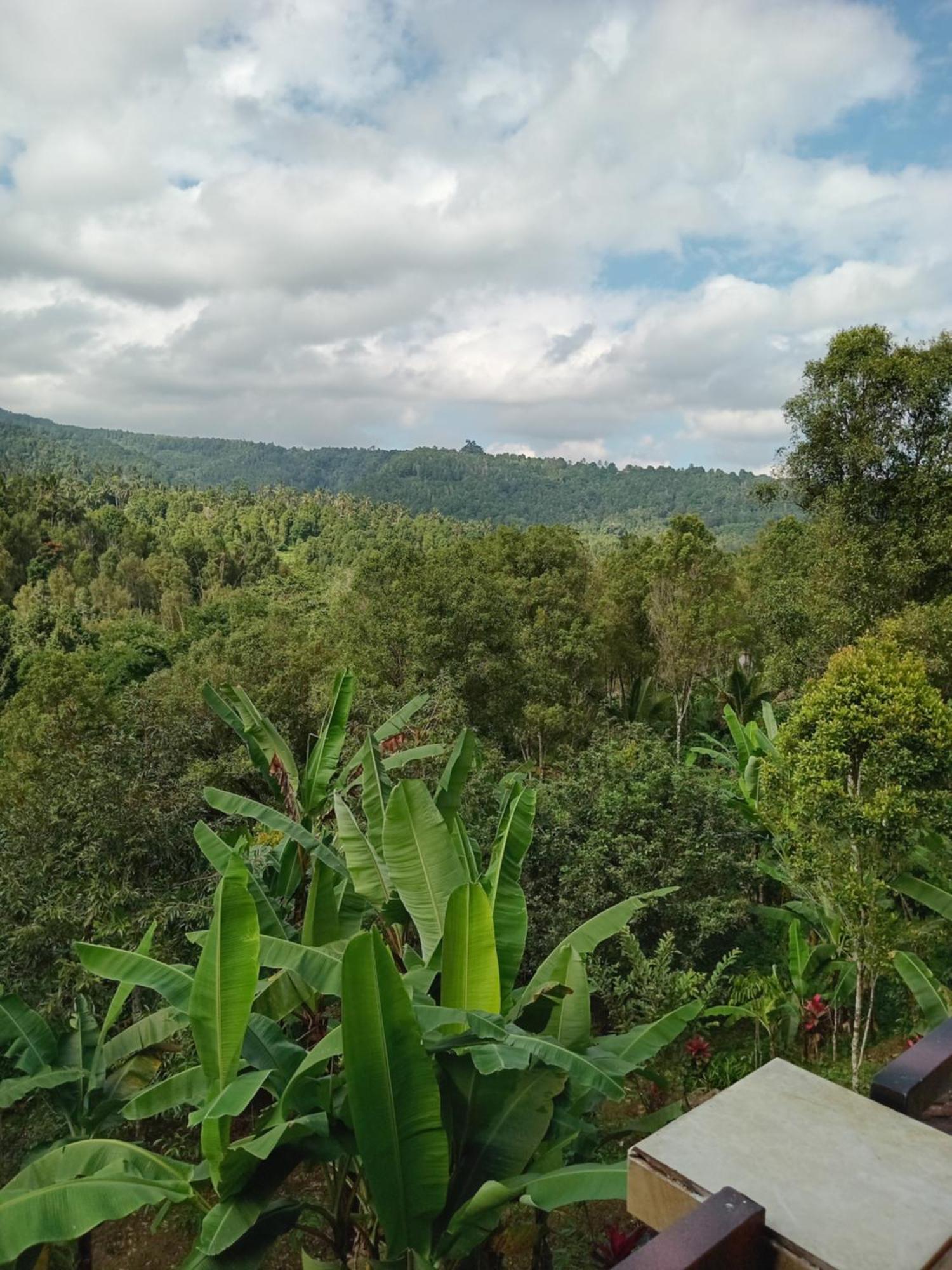 Kanaya Homestay & Warung Heaven Munduk Екстериор снимка